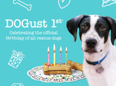 nsal_email_headers_dogust1st_2022_2_reg