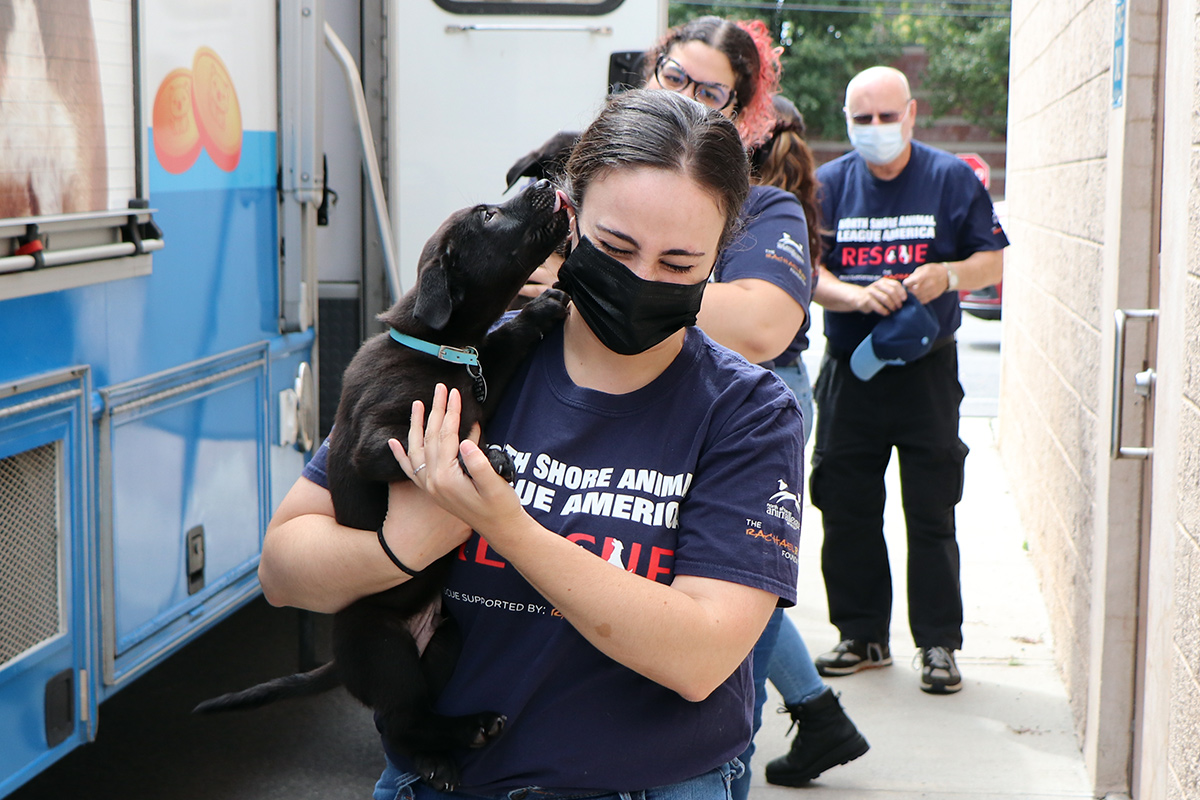 a woman wearing a mask holding a dog
