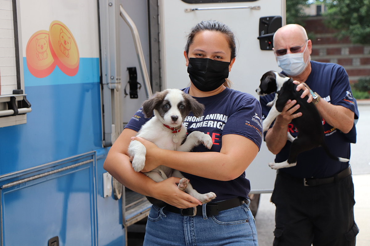 a woman wearing a face mask holding a dog