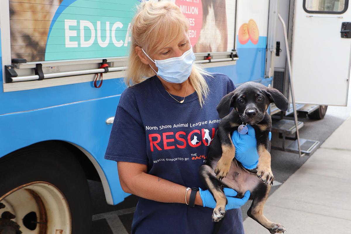 a woman wearing a mask and gloves holding a dog