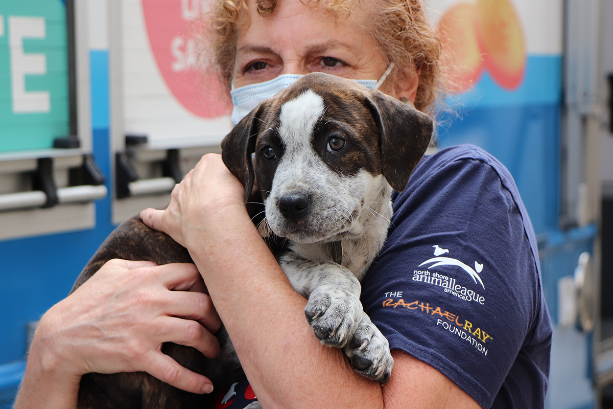 a woman wearing a face mask holding a dog