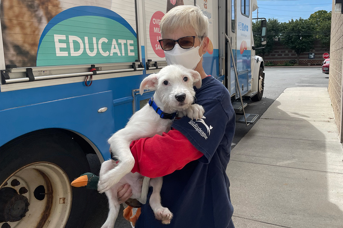 a person wearing a mask and holding a dog