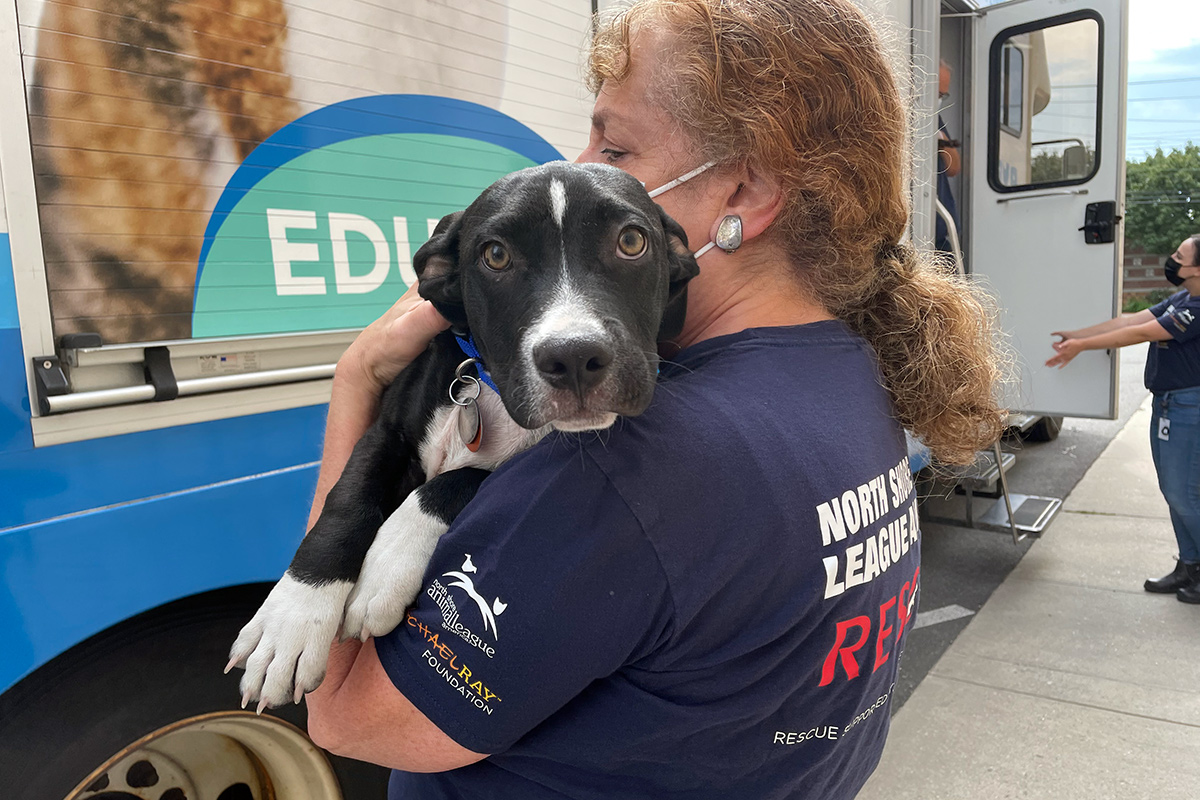 a woman holding a dog