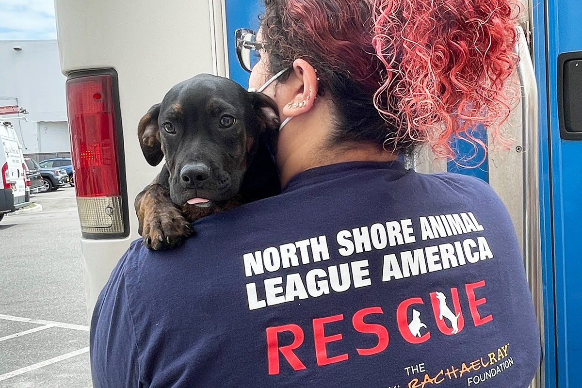 a woman with a dog on her shoulder