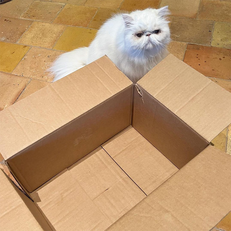 beths-blog-sept2022-yoda-with-empty-box-090722