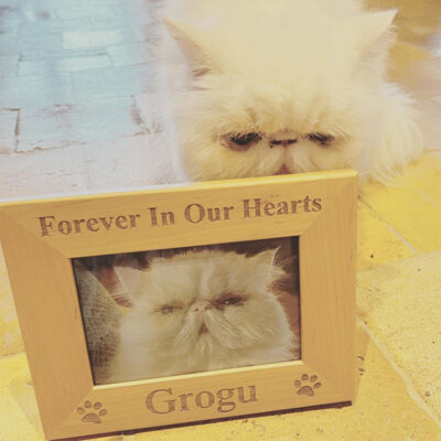 beths-blog-sept2022-yoda-with-grogu-pic-090722