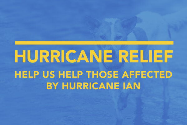 nsala_barkabout_feature_hurricaneian_1_1200x800