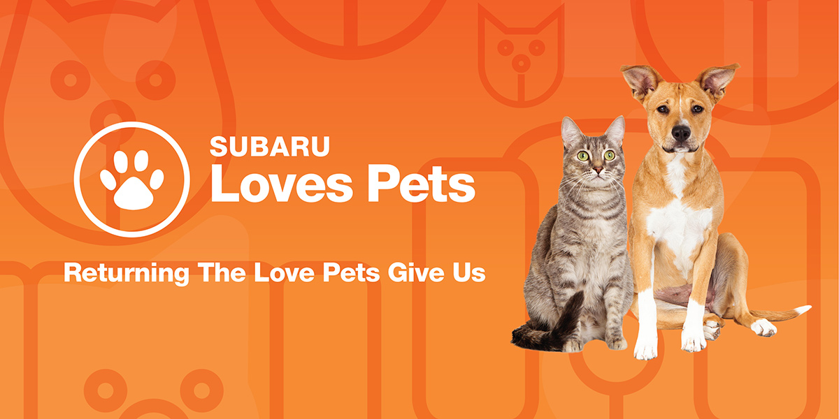 adopt-event-subaru-loves-pets-month