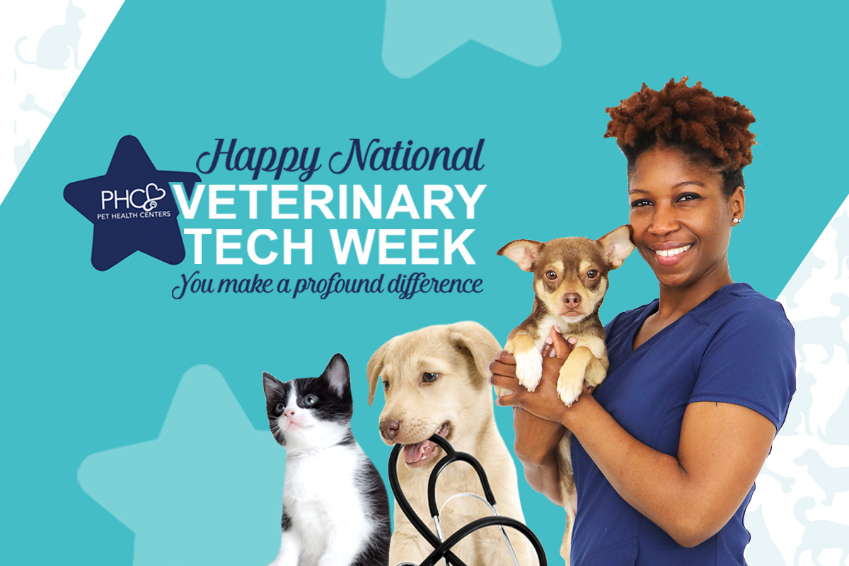 Celebrating Veterinary Technicians Week Blog Animal League