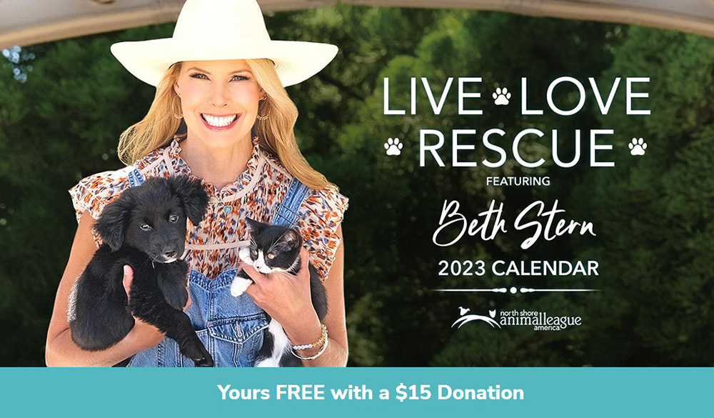 beth-blog-2023-calendar a woman holding a cat and a dog