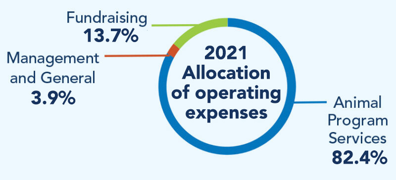 donorimpact_images_web_allocation