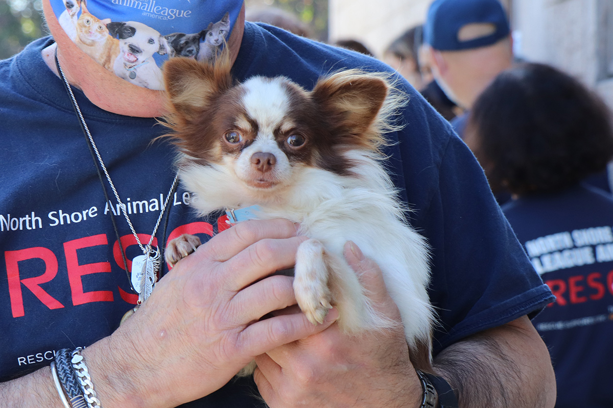 a person holding a dog
