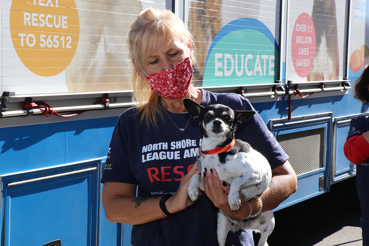 a woman wearing a mask holding a dog