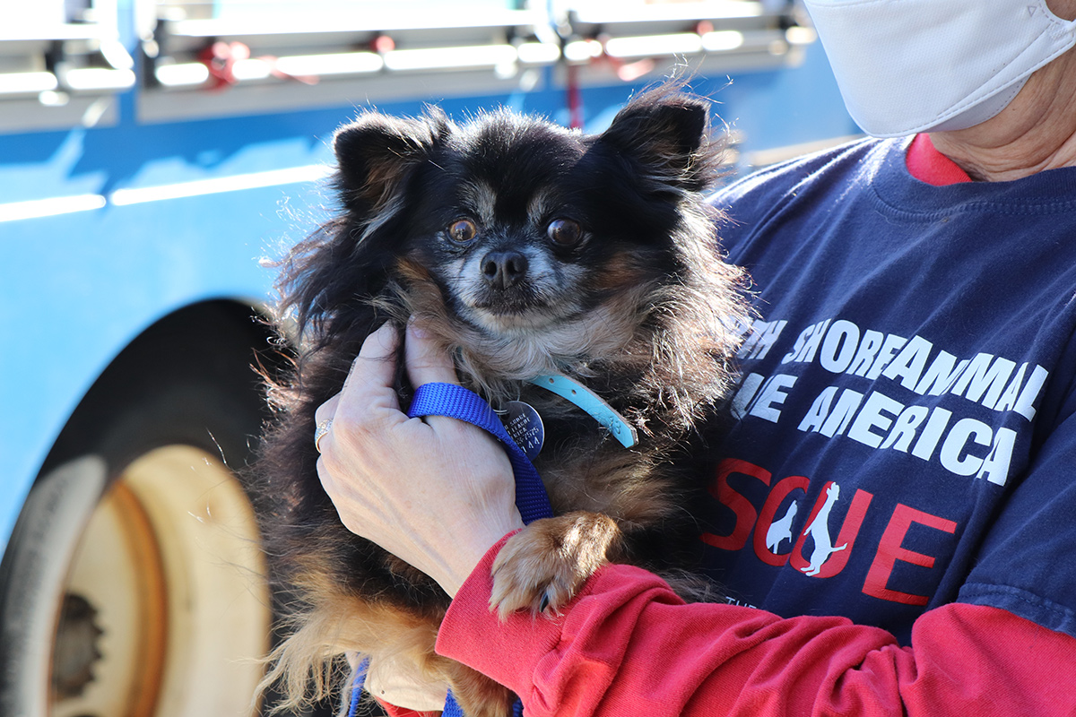 a person holding a dog