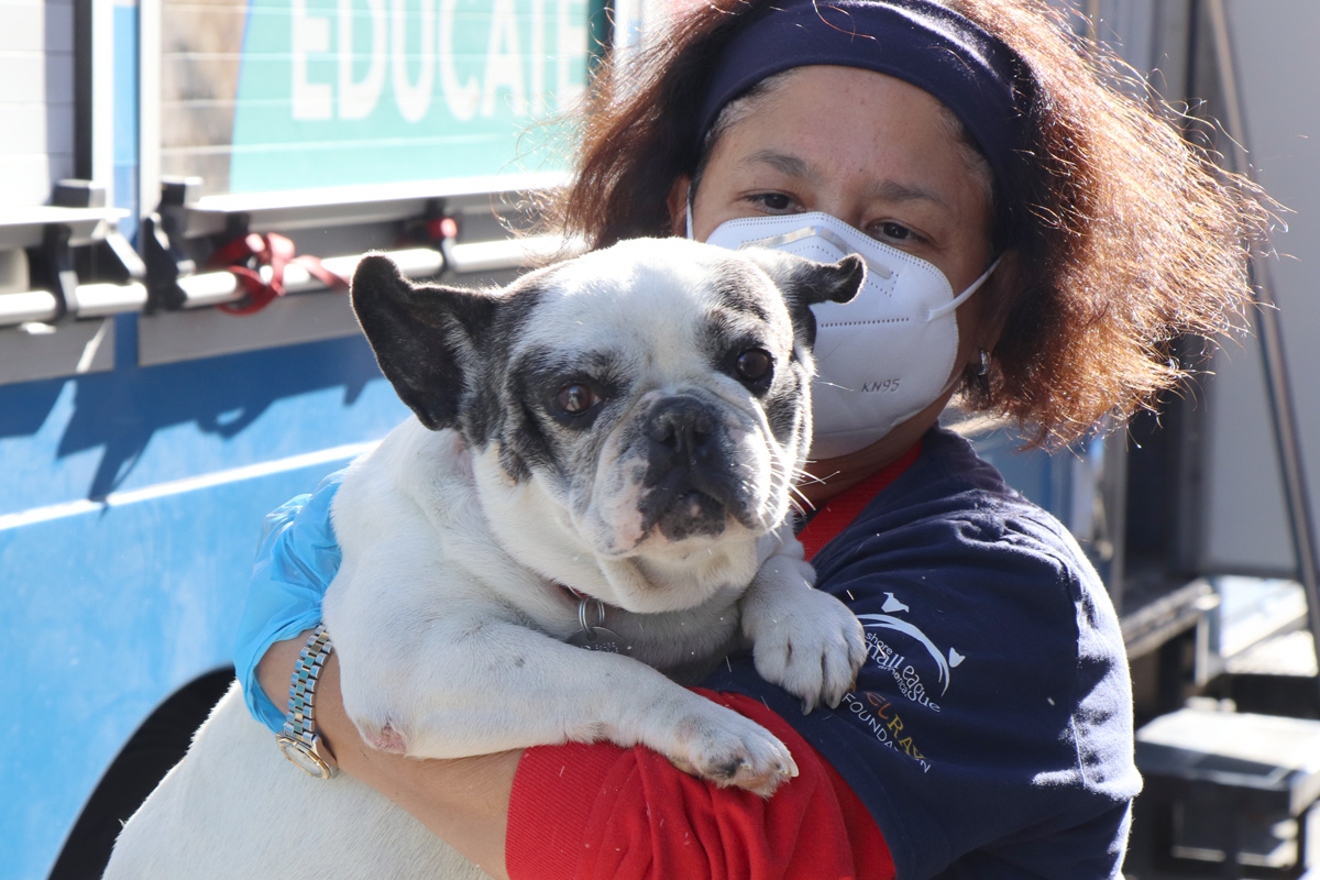 a woman wearing a face mask holding a dog