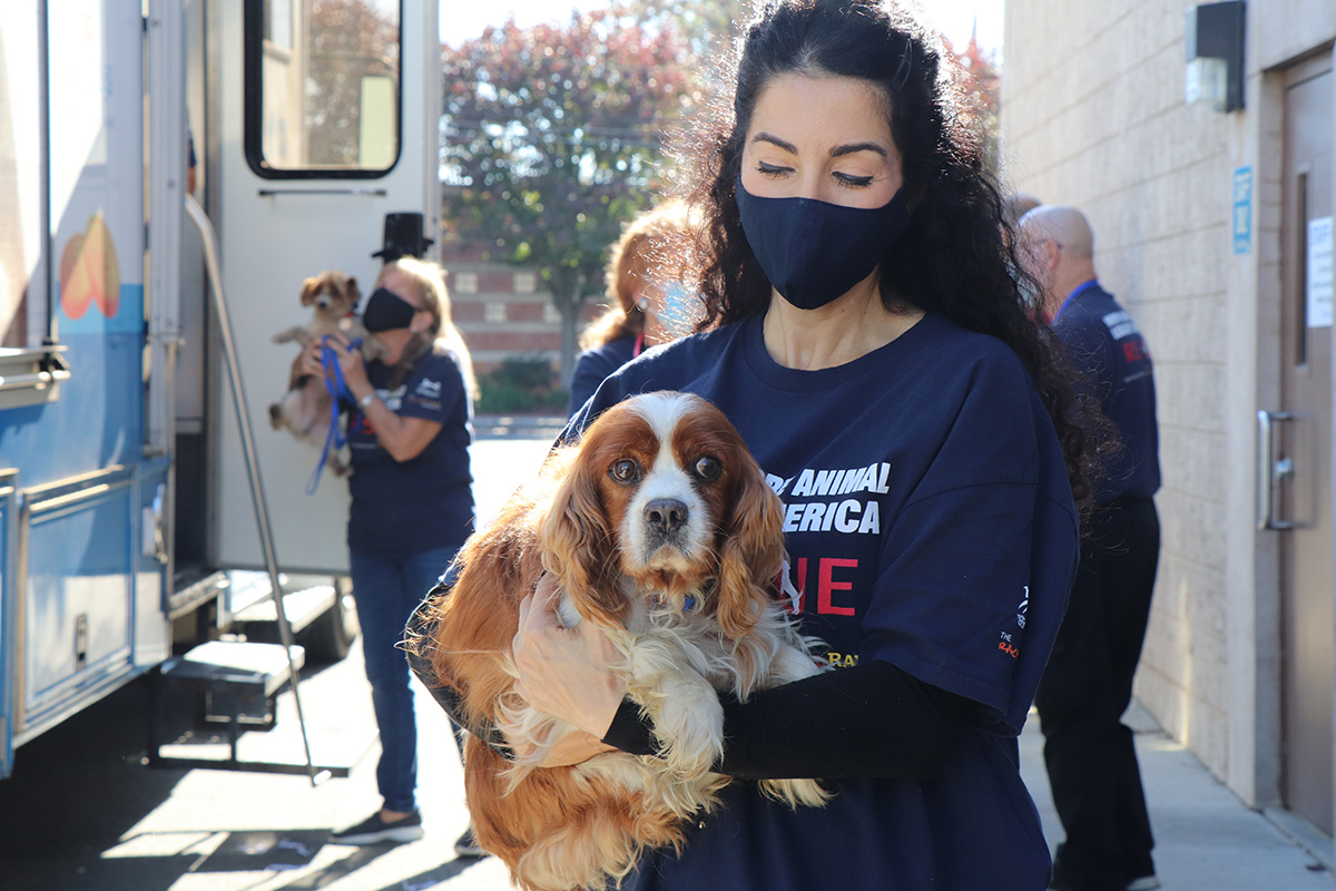 a woman wearing a face mask holding a dog