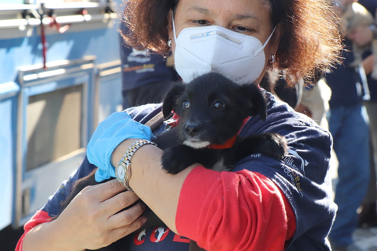 a woman wearing a mask and holding a black dog