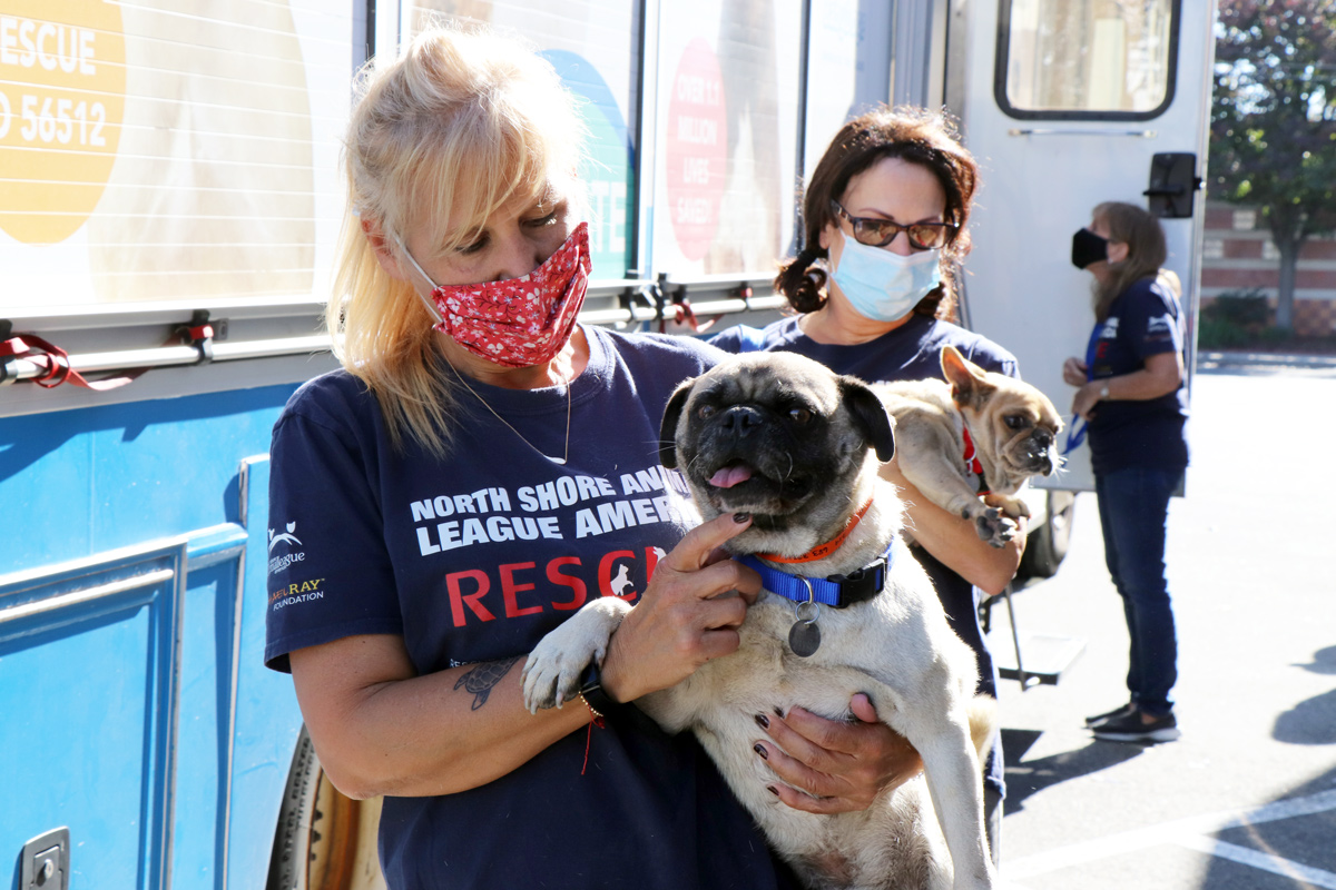 a woman wearing a mask holding a dog