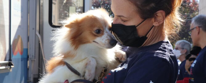 a woman wearing a face mask holding a dog