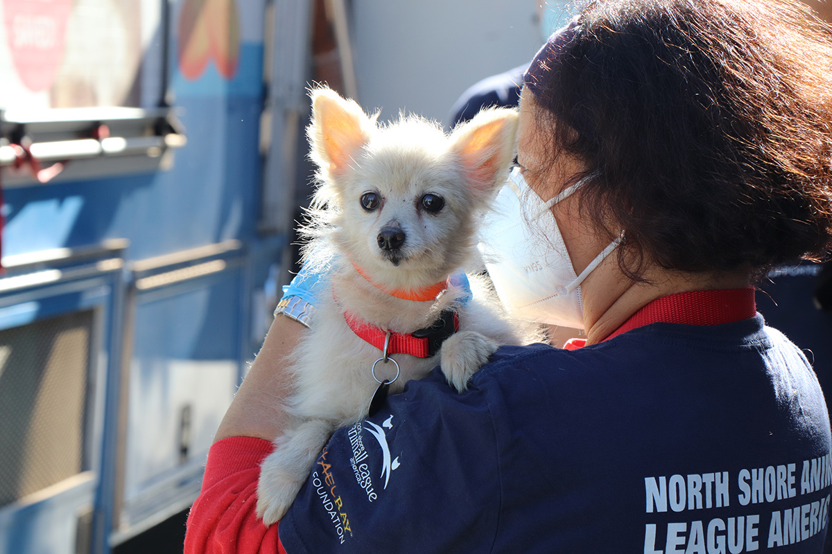 a woman wearing a mask holding a dog