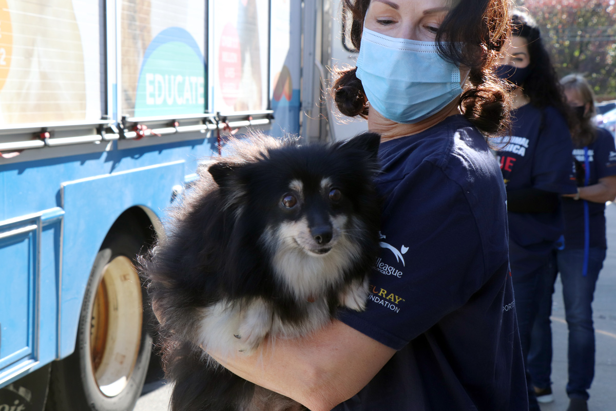a woman wearing a mask holding a dog