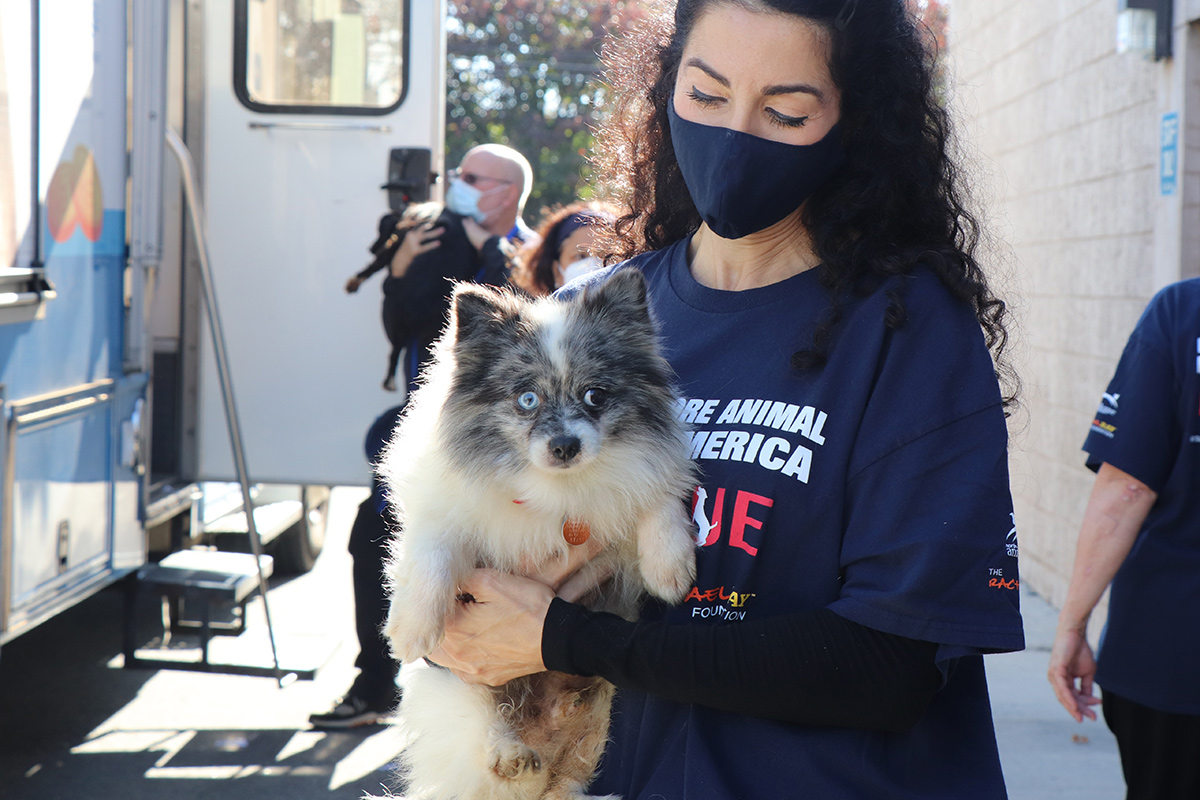 a woman wearing a face mask holding a dog