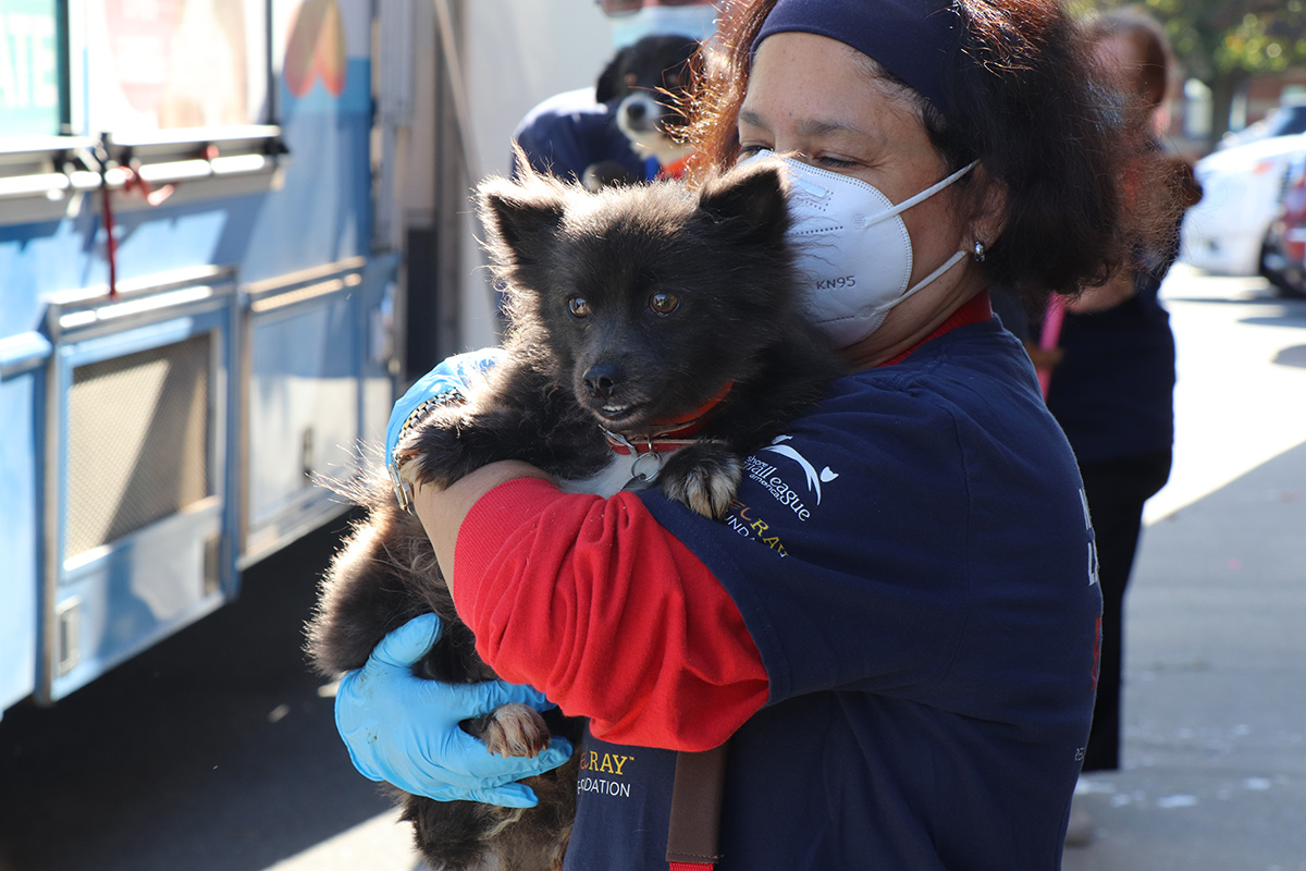 a woman holding a dog