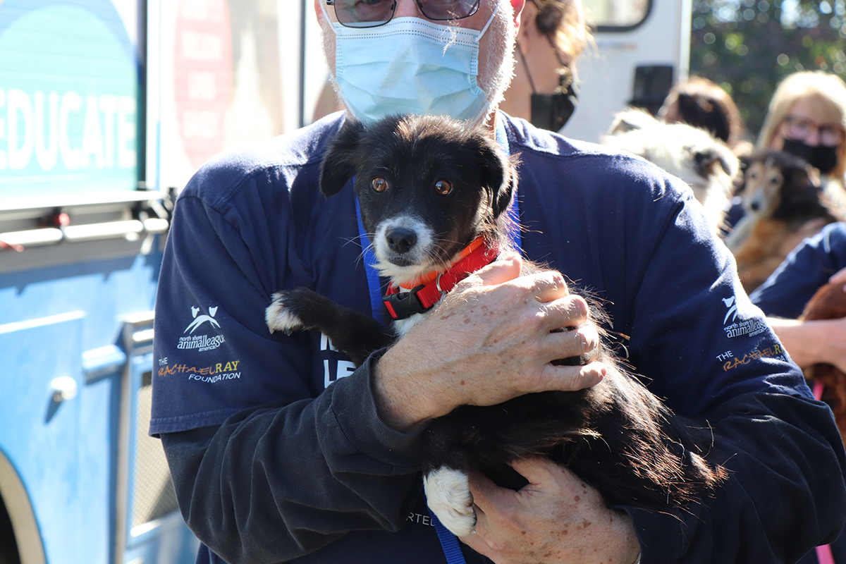 a man wearing a mask holding a dog