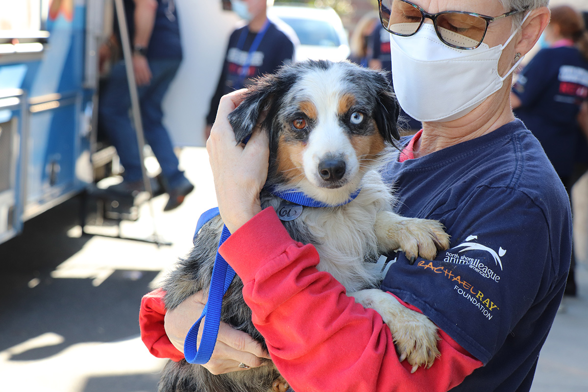 a person holding a dog