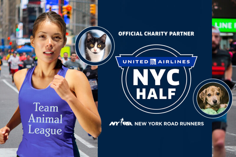 2023 United Airlines NYC Half Marathon