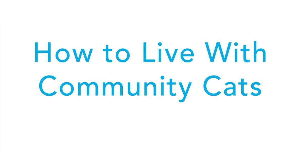 How to Live With Community Cats