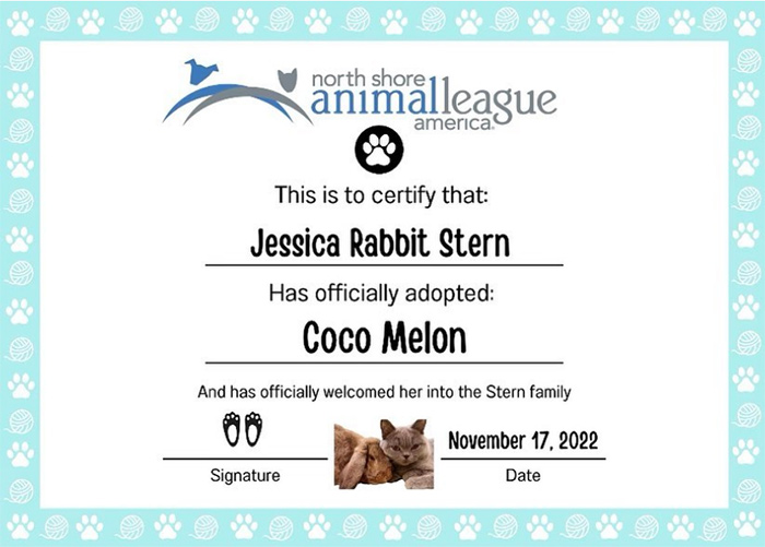 Jessica Rabbit Adopts Cocomelon!