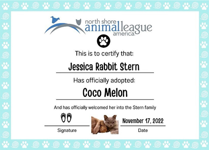 beth-blog-dec2022-cocomelon-adopt-papers Jessica Rabbit Adopts Cocomelon!