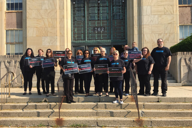 news-justice-for-tucker-team-at-courthouse Justice for Tucker