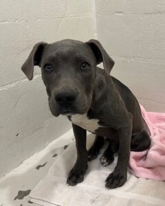 scr3495-clayton-email-113022 Clayton