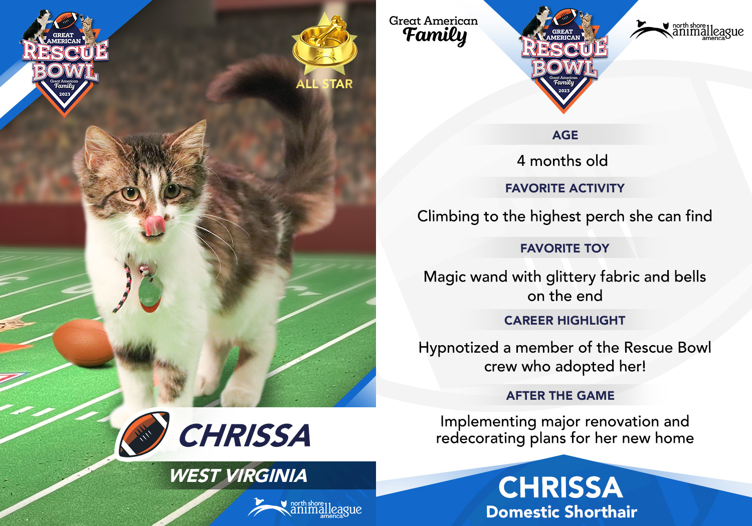 nsala_garb_playercards_kittens_chrissa_dl.jpg