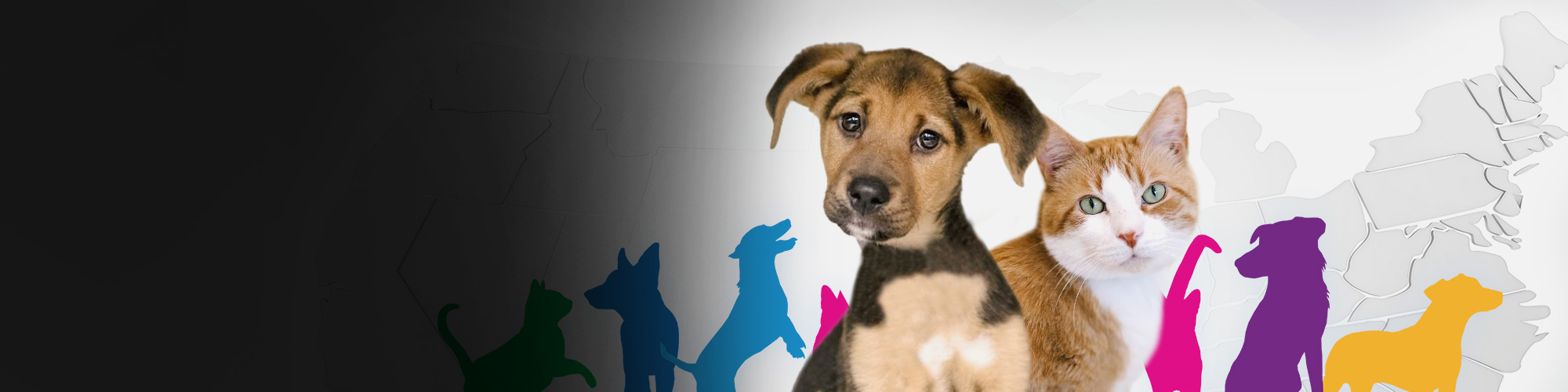 North Shore Animal League America | World's Largest Animal Rescue Org