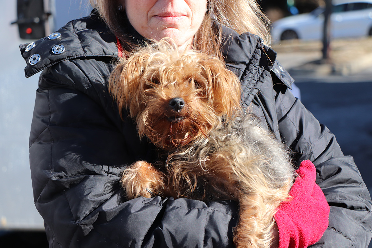 a woman holding a dog