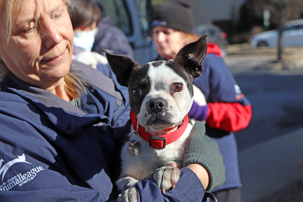 a woman holding a dog