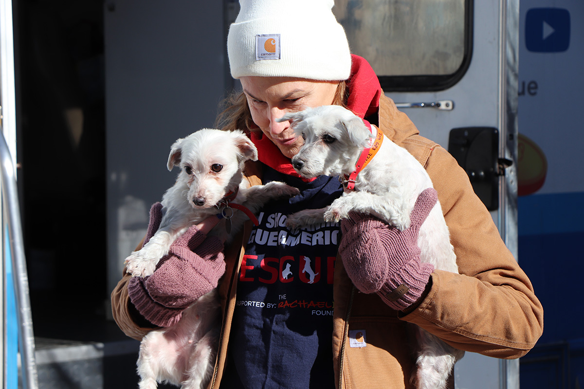 a person holding two dogs