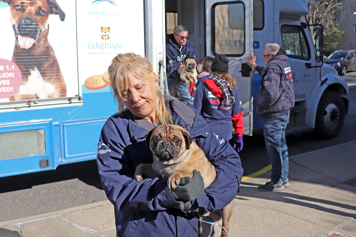 a woman holding a dog