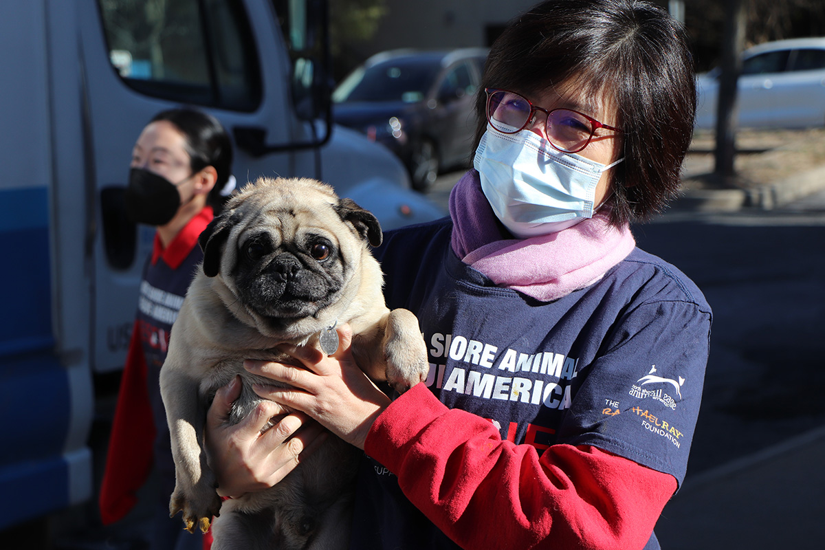 a woman wearing a face mask holding a dog
