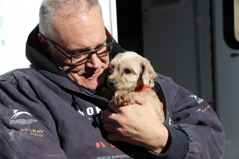 Lifesaving Mission Rescues 50 Dogs from Commercial Breeding Facilities