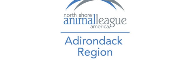 Adirondack Region Cat Adoption Center