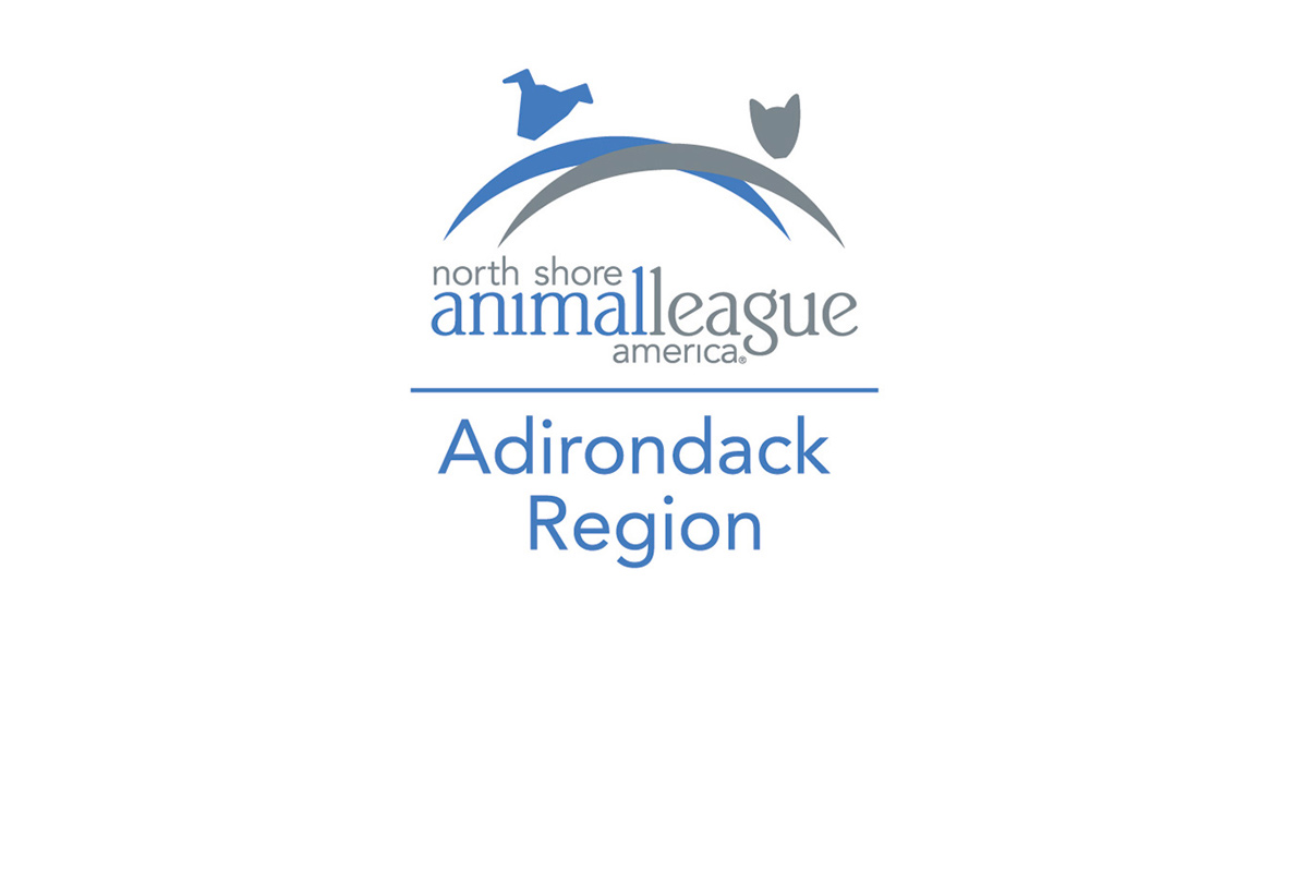 Adirondack Region Cat Adoption Center