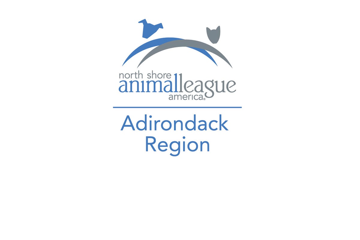 Adirondack Region Cat Adoption Center