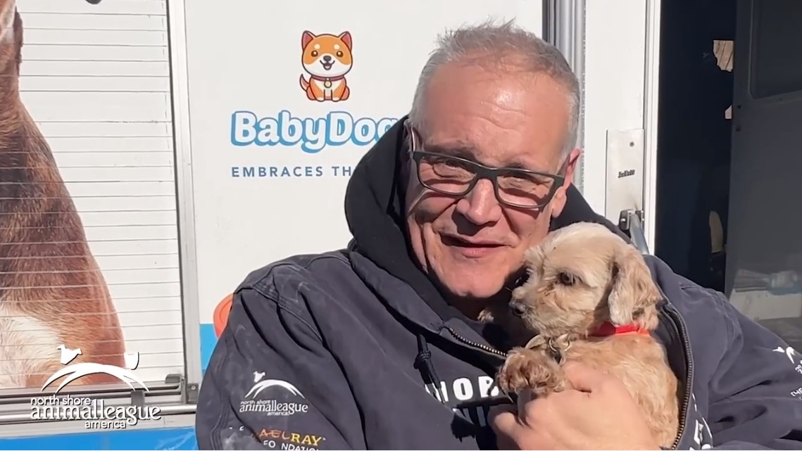 Baby Doge Mobile Unit Brings 50 Dogs to Safety