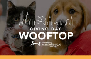 Giving Day Wooftop