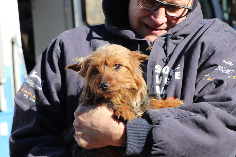 nursery-tillie-mill-rescue-020423-IMG_3243