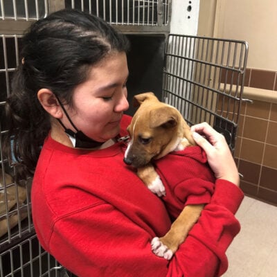 volunteer-alana-wolfson-img3-042023